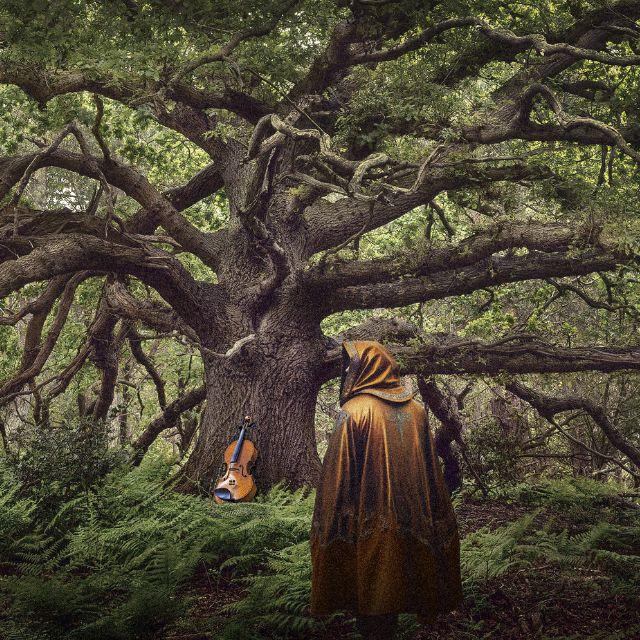 Frozen Light: The Ancient Oak Of Baldor at Cornerstone Arts Centre in Didcot