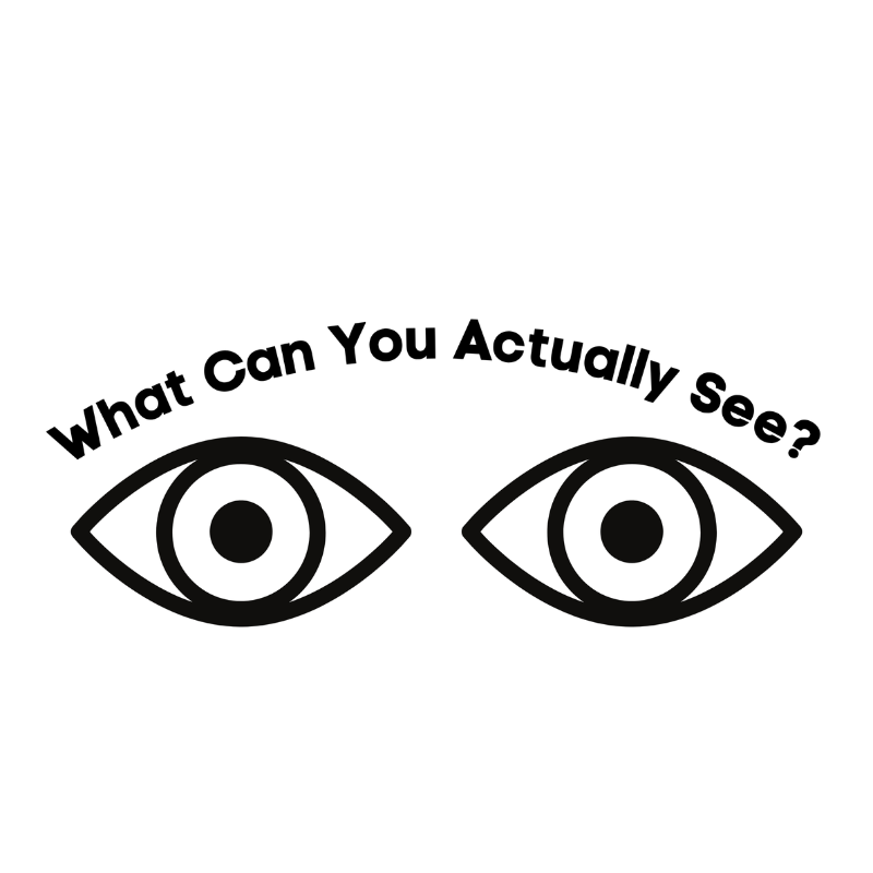 What Can You Actually See? An Exhibition by MyVision Oxfordshire