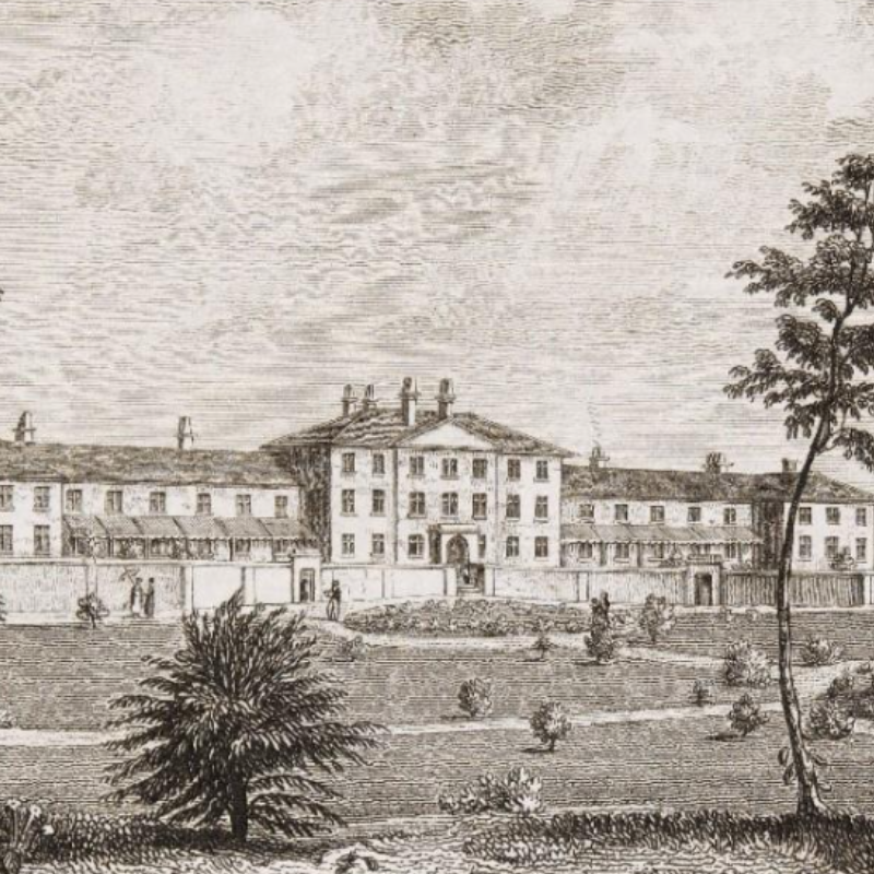 Warneford 200: Mental Health Through the Ages by Jane Freebody