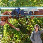 The Guy in the Luggage Rack TRAILER (outdoor)